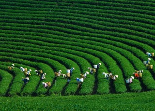 THAI NGUYEN TOUR 2 DAYS 1 NIGHT 